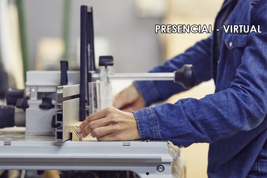 DIPLOMADO EN SEGURIDAD Y SALUD EN TRABAJO